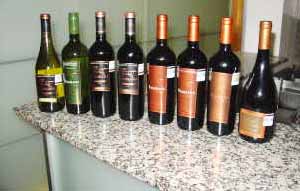 Los vinos catados de Ramirana, de Chile
